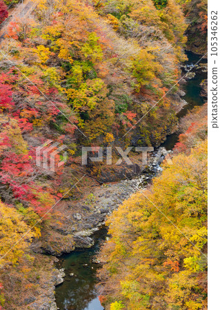 東京奧多摩市 從大河內水壩（奧多摩湖）欣賞秋色 105346262