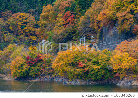 Okutama, Tokyo Lake Okutama with Autumn Leaves 105346266
