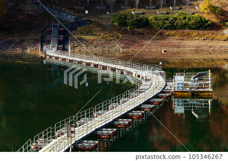 Okutama, Tokyo, Lake Okutama with autumn leaves, Toruma Floating Bridge 105346267