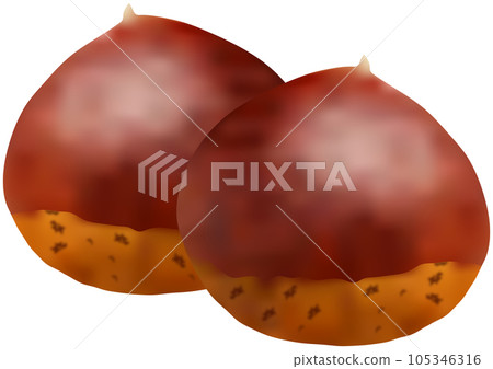 "Chestnut" with two overlapping chestnuts "Chestnut" with two overlapping chestnuts 105346316