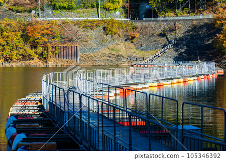 奧多摩，東京奧多摩湖秋葉麥山浮橋 105346392