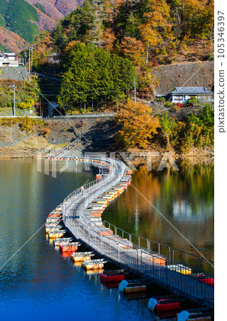 Okutama, Tokyo Lake Okutama with Autumn Leaves Mugiyama Floating Bridge Okutama, Tokyo Lake Okutama with Autumn Leaves Mugiyama Floating Bridge 105346397