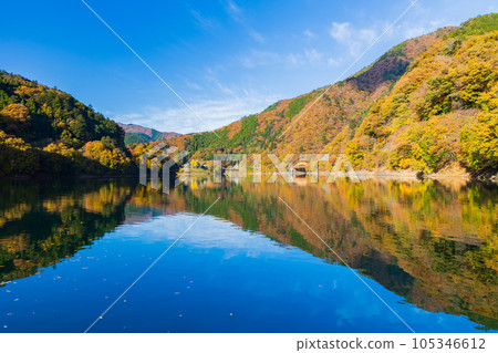 奧多摩,東京奧多摩湖與秋葉 奧多摩,東京奧多摩湖與秋葉 105346612