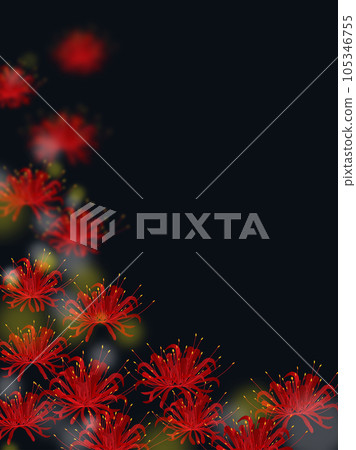 Background of night lights and cluster amaryllis 105346755