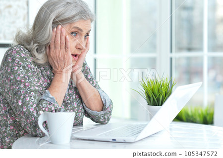 beautiful senior woman using laptop at home beautiful senior woman using laptop at home 105347572