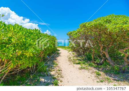 Okinawa southern country sea emerald green tropical resort blue sky fine weather sightseeing trip copy space Okinawa southern country sea emerald green tropical resort blue sky fine weather sightseeing trip copy space 105347767