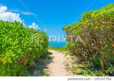 Okinawa southern country sea emerald green tropical resort blue sky fine weather sightseeing trip copy space Okinawa southern country sea emerald green tropical resort blue sky fine weather sightseeing trip copy space 105347768