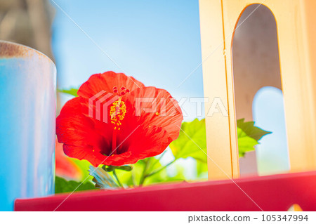 hibiscus american village fashionable building colorful sightseeing spot okinawa resort travel 105347994