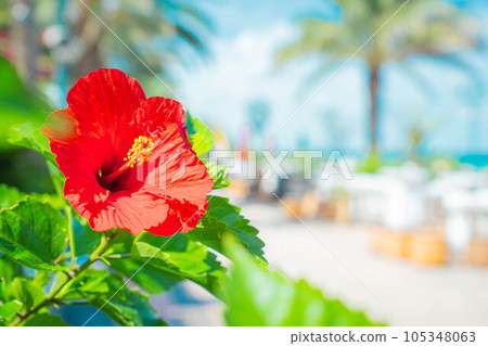 芙蓉美國村南國沖繩度假村旅行度假熱帶海灘海 105348063