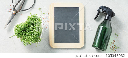 Micro greens and Black chalk board flat lay Micro greens and Black chalk board flat lay 105348082