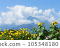 向日葵、夏日雲彩和凱駒岳 105348180