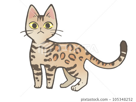 Bengal 105348252