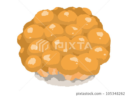 Nameko Nameko 105348262