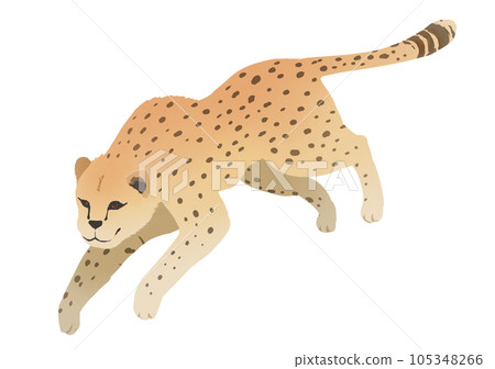 獵豹 獵豹 105348266