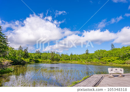 Shinsen swamp Shinsen swamp 105348318