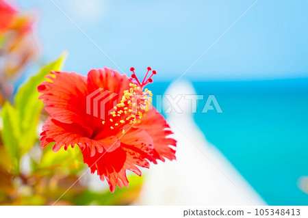 芙蓉海翠綠藍天南國度假村沖繩旅行旅遊度假勝地熱帶 105348413