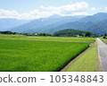 夏季的稻田和南阿爾卑斯山 105348843