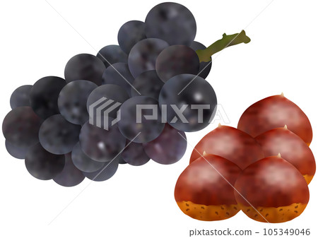 "Chestnut" and "Grape" New Pione 105349046