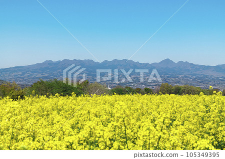 You can see the mountains beyond the field of rapeseed blossoms, Takasaki City You can see the mountains beyond the field of rapeseed blossoms, Takasaki City 105349395