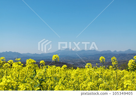 可以看到油菜花田外的群山，高崎市 105349405