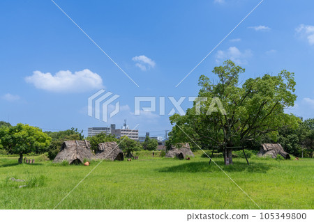 《Fukuoka Prefecture》 Itazuke Ruins 《Fukuoka Prefecture》 Itazuke Ruins 105349800
