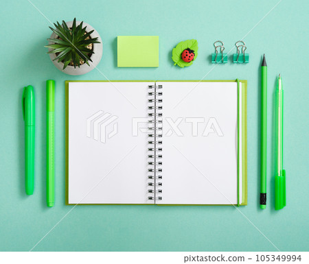 Empty page with green pen, pencil and marker on pastel green back Empty page with green pen, pencil and marker on pastel green back 105349994