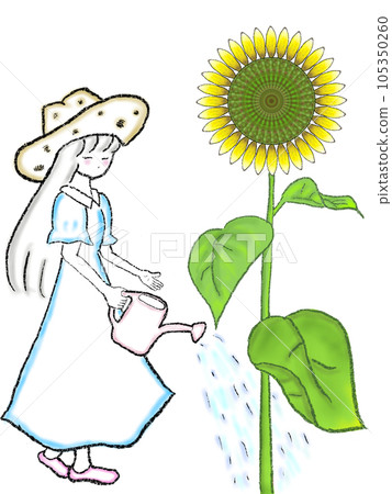 給向日葵澆水的女孩 105350260