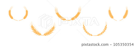 Ear of Wheat or Barley Wreath as Grain Crop or Cereal Cultivated Grass on Stalk Vector Set 105350354