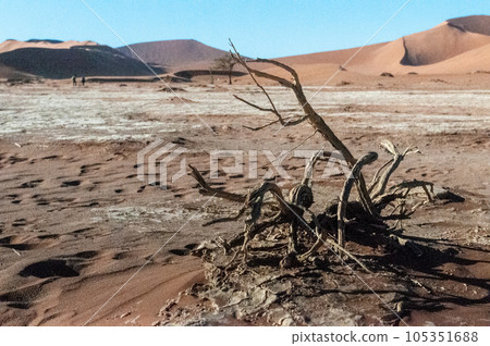Barren landscape near Deadvlei and sossusvlei 105351688