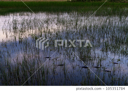 自然风景 105351784