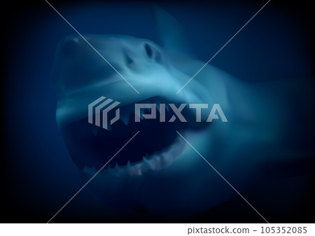 Great White Shark with Terrifying Jaws 105352085