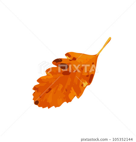 Autumn Leaf Icon Isolated, Colored Autumn Tree Leaves Symbol, Red Orange Foliage Silhouette, Fall Leaf Contour Autumn Leaf Icon Isolated, Colored Autumn Tree Leaves Symbol, Red Orange Foliage Silhouette, Fall Leaf Contour 105352144