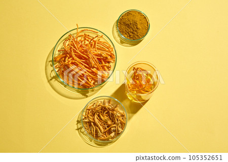 Over light background, several round petri dishes and a beaker containing Cordyceps Militaris and Cordyceps powder. Cordyceps benefit heart health in humans Over light background, several round petri dishes and a beaker containing Cordyceps Militaris and Cordyceps powder. Cordyceps benefit heart health in humans 105352651