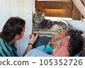 Cat lying down in relaxation looking at a young couple in the garden. Human-animal relationships. Pet care. Funny pet. Adopted pet. 105352726