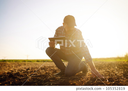 Male hands touching soil on the field. Expert hand of farmer checking soil health. Ecology concept. Male hands touching soil on the field. Expert hand of farmer checking soil health. Ecology concept. 105352819