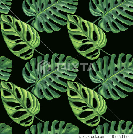 Seamless endless pattern. Green palm leaves Monstera. Jungle tropical exotic foliage. Hand-drawn watercolor illustration isolated black background. Textile, print, wrapping paper 105353354