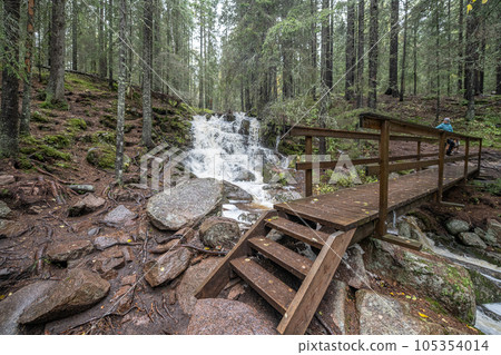wooden hiking footpath in forest between trees in Skuleskogen National Park in Sweden in northern Europe Hoga Kusten 105354014