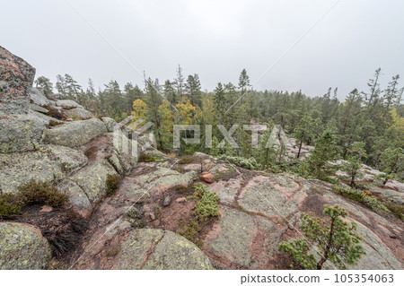 hiking footpath in forest between trees in Skuleskogen National Park in Sweden in northern Europe Hoga Kusten 105354063