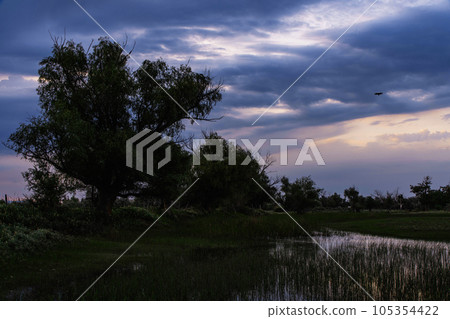 自然风景 105354422