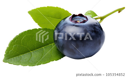 Fresh blueberry isolated 105354852