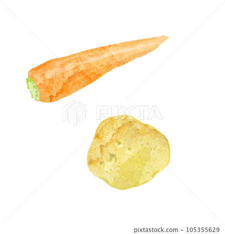 胡蘿蔔和土豆水彩矢量圖 105355629