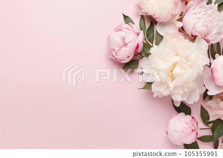 Tender peonies on pink background with copy space. Abstract natural floral frame layout with text space. Romantic feminine composition. Wedding invitation. International Women day, Mother Day concept Tender peonies on pink background with copy space. Abstract natural floral frame layout with text space. Romantic feminine composition. Wedding invitation. International Women day, Mother Day concept 105355991