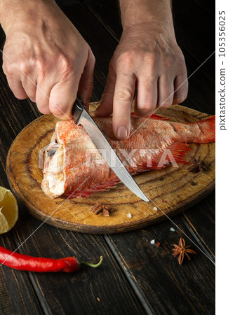 The cook prepares fresh Sebastes fish. Preparing to cook fish food. The chef cuts with knife a red fish before roast 105356025