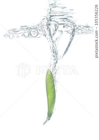 水中的豆莢 105356226