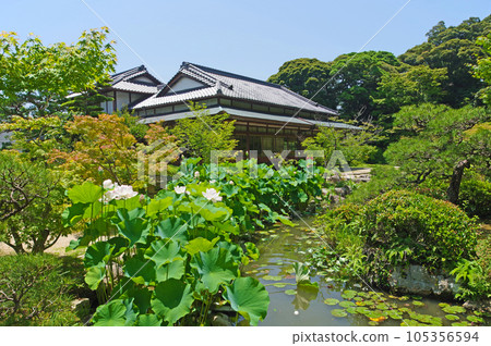 山口縣下關市的散步庭園 調布庭園 松陰與蓮花,外觀安靜 山口縣下關市的散步庭園 調布庭園 松陰與蓮花,外觀安靜 105356594
