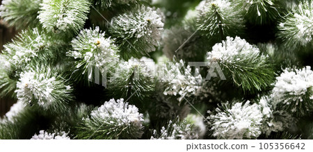 Christmas banner green spruce branches covered with snow. 105356642