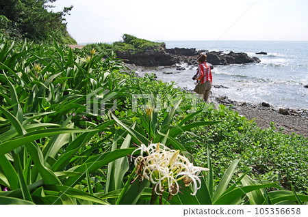 Shimonoseki City, Yamaguchi Prefecture, westernmost point of Honshu Shimonoseki City, Yamaguchi Prefecture, westernmost point of Honshu 105356658