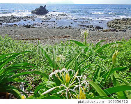 山口縣下關市,本州最西端 山口縣下關市,本州最西端 105356710