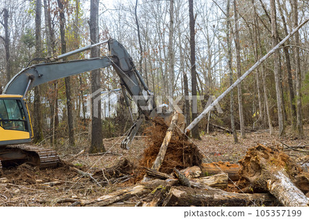 Excavator is being used by worker to clear land for house construction. Excavator is being used by worker to clear land for house construction. 105357199