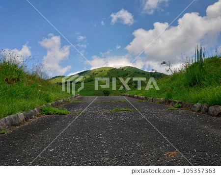Mt. Shinnyuu in Akiota Town, a town of forest therapy Mt. Shinnyuu in Akiota Town, a town of forest therapy 105357363